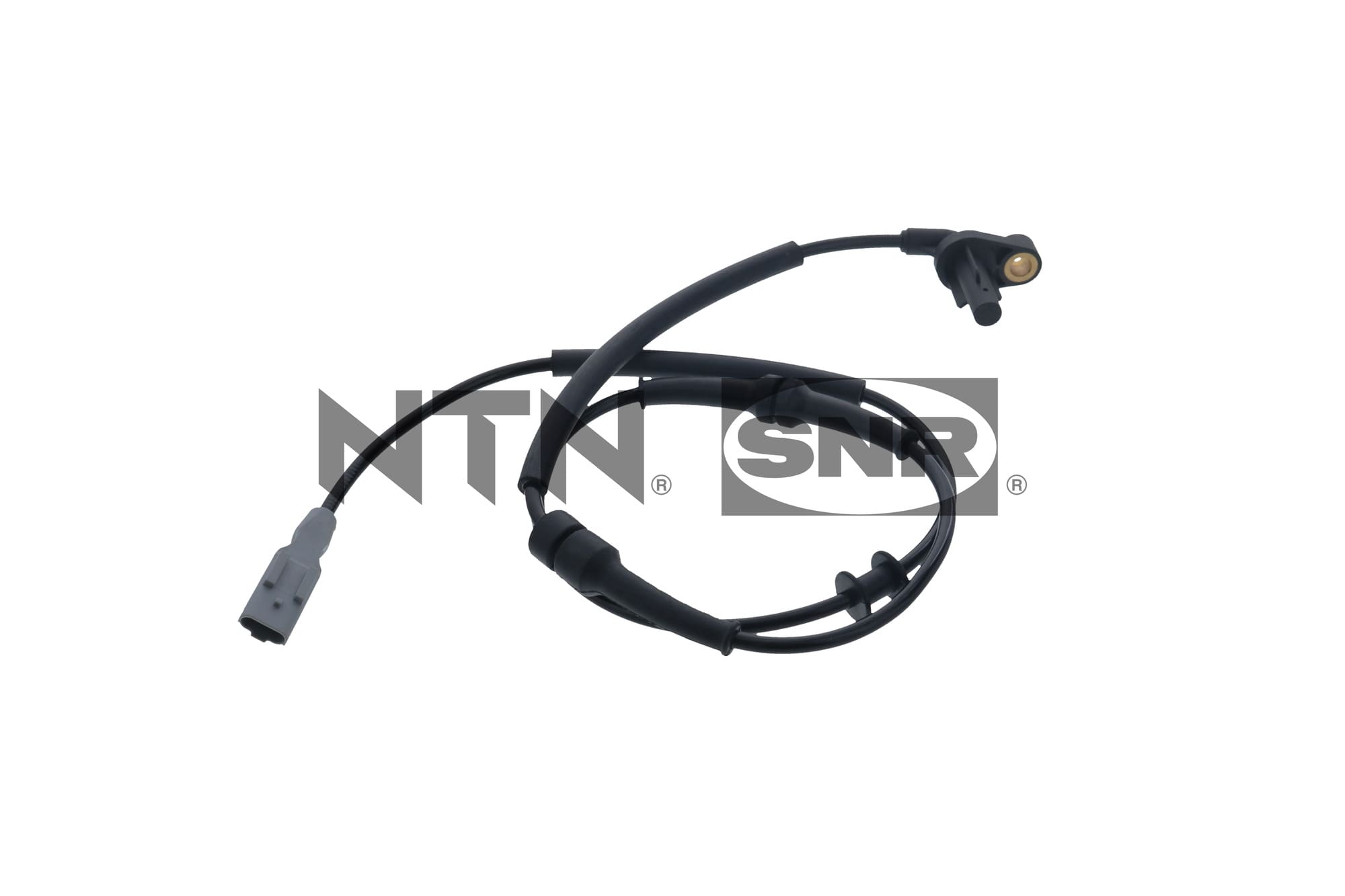 Sensor, wheel speed (ASB166.13)