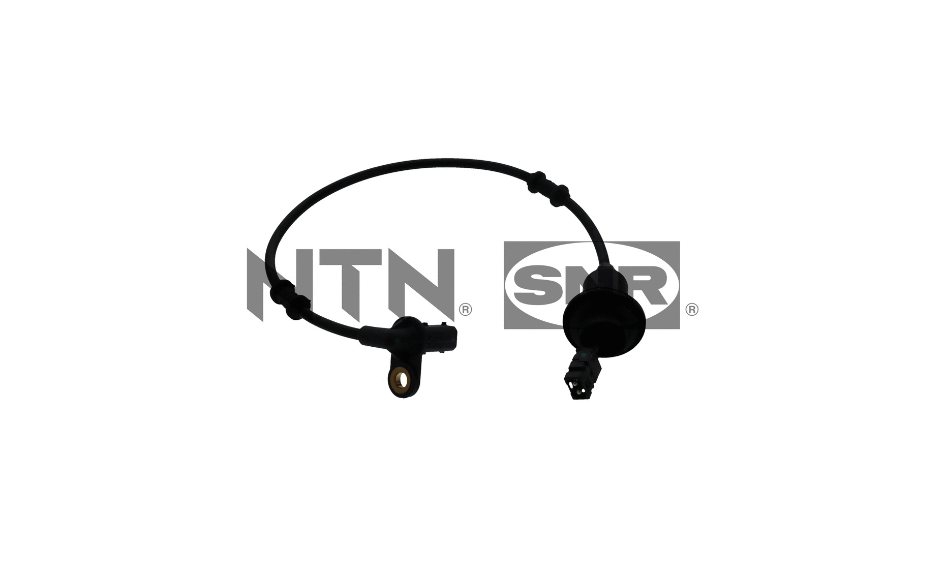 Sensor, wheel speed (ASB151.37)