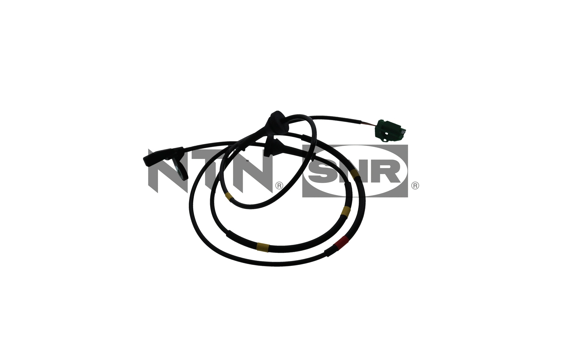 Sensor, wheel speed (ASB150.31)