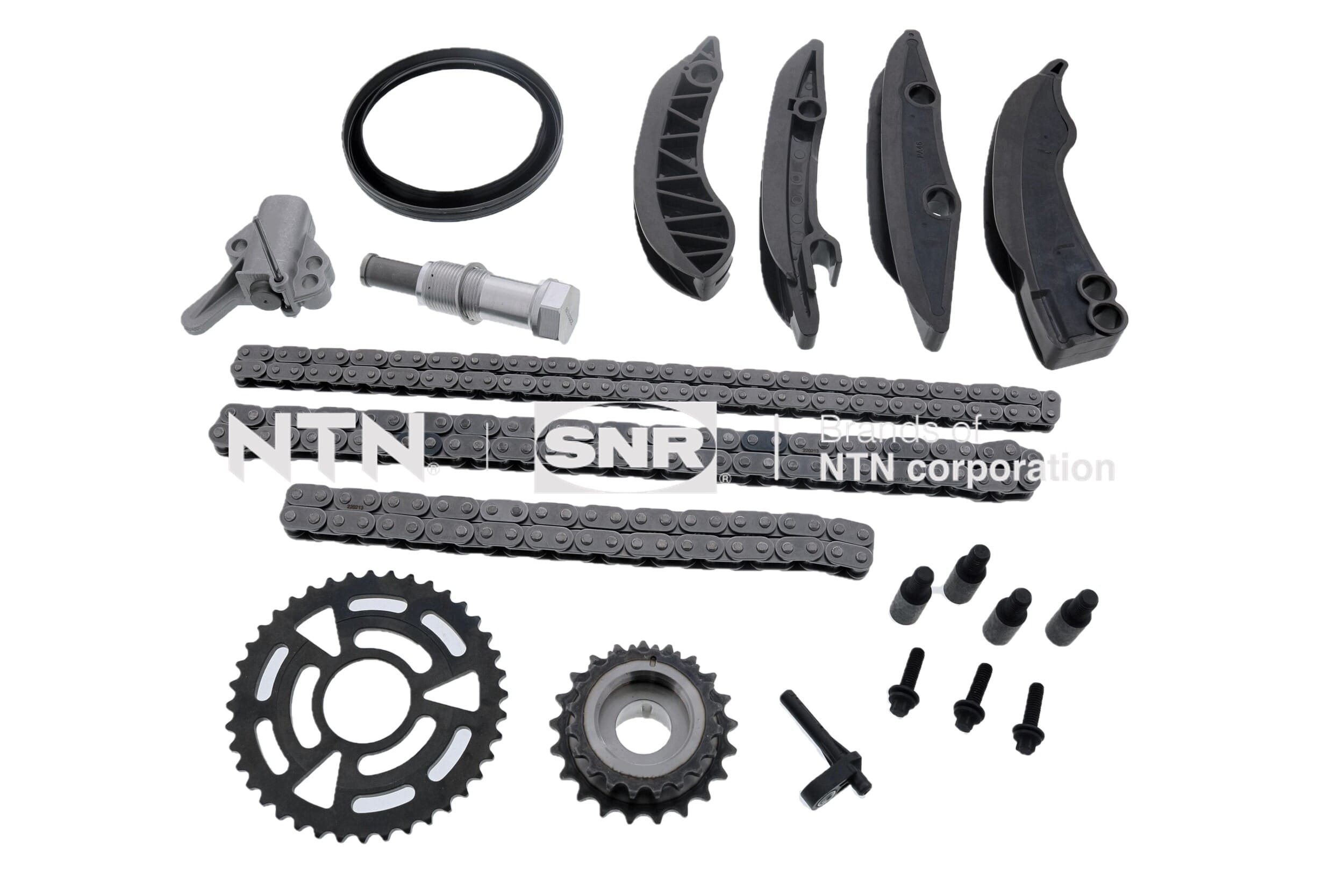 Timing Chain Kit (KDC450.01)