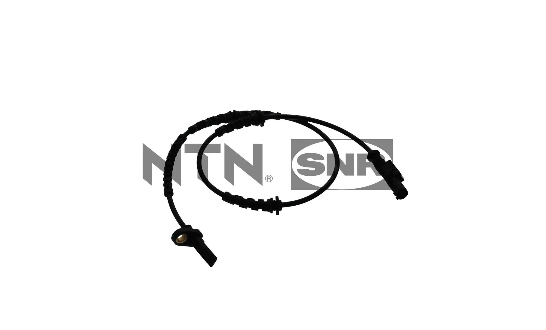 Sensor, wheel speed (ASB158.57)