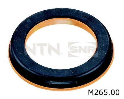Repair Kit, suspension strut support mount (M265.00)