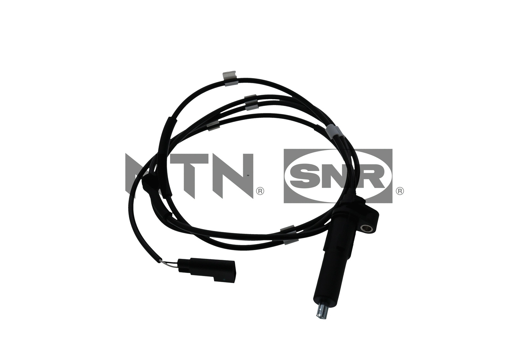 Sensor, wheel speed (ASB152.29)