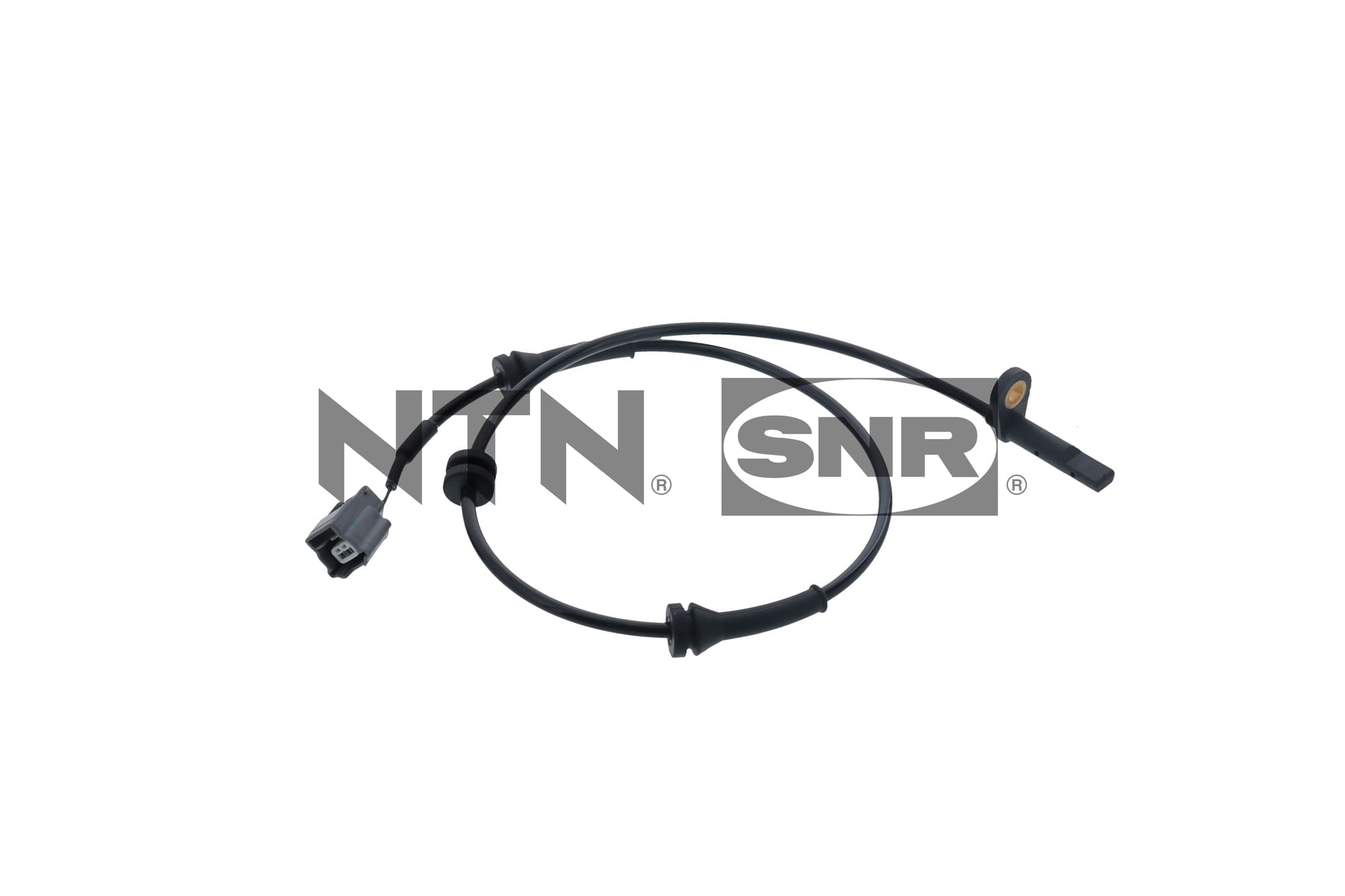Sensor, wheel speed (ASB168.03)