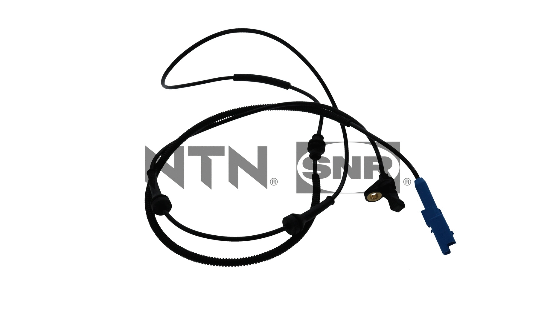 Sensor, wheel speed (ASB166.08)