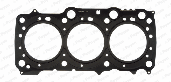 Gasket, cylinder head (AG9790)