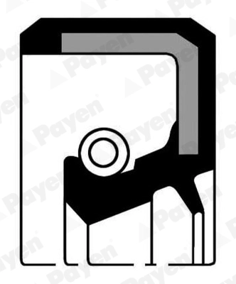 Shaft Seal, camshaft (NF808)