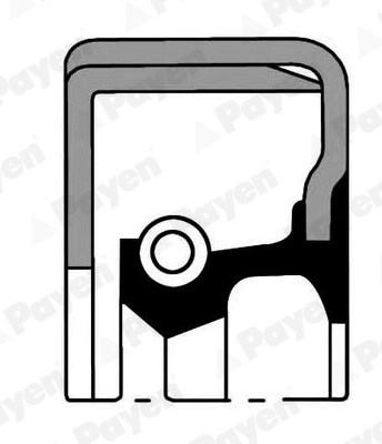 Shaft Seal, wheel hub (NJ062)