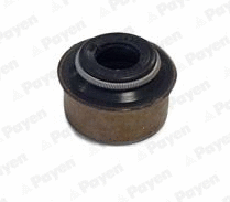 Seal Ring, valve stem (PA565)