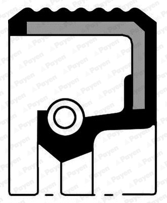 Shaft Seal, crankshaft (NA5016)