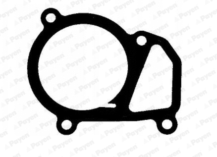 Seal, thermostat (KK5684)