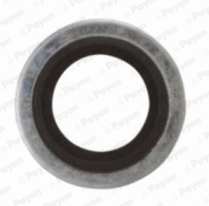 Seal Ring, oil drain plug (KG5012)