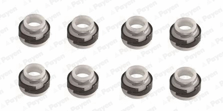 Seal Set, valve stem (HR643)
