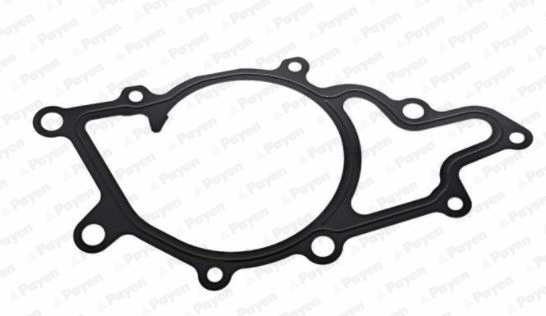 Gasket, water pump (KA5036)
