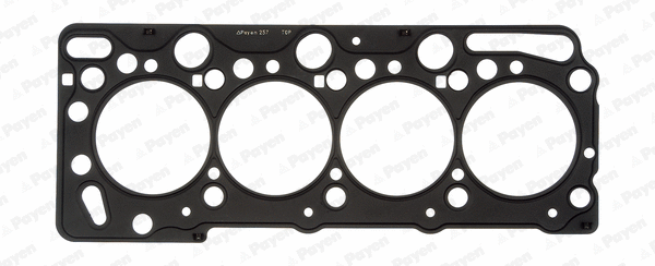Gasket, cylinder head (AE5520)
