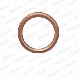 Seal Ring, oil drain plug (KJ647)