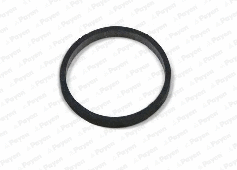 Gasket, intake manifold (JD5811)