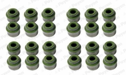 Seal Set, valve stem (HR800)