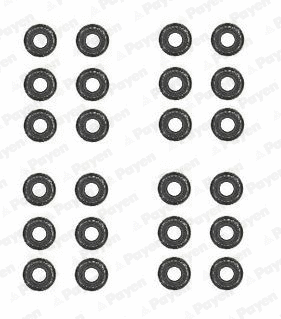 Seal Set, valve stem (HR5062)