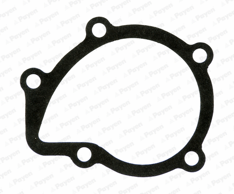 Gasket, water pump (KA611)