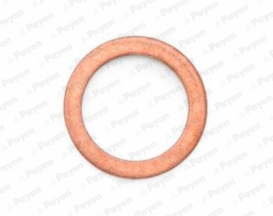 Seal Ring, oil drain plug (KG5385)