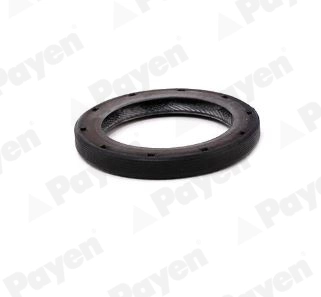 Shaft Seal, differential (NA5507)