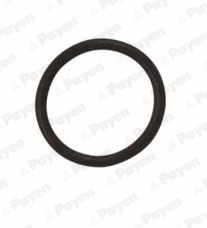 Seal Ring, oil drain plug (LA5120)