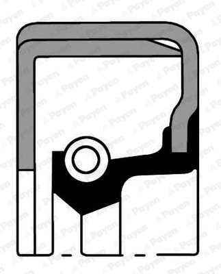 Shaft Seal, differential (NJ068)