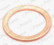 Seal Ring, oil drain plug (KG5158)