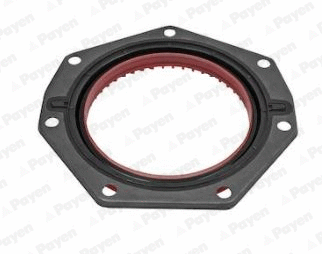 Shaft Seal, crankshaft (NF883)