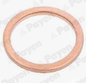 Seal Ring, oil drain plug (PA335)