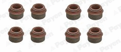 Seal Set, valve stem (HR569)