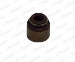 Seal Ring, valve stem (PA874)