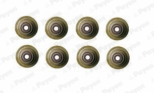 Seal Set, valve stem (HR789)