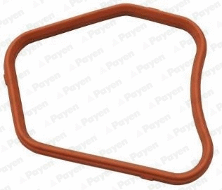 Seal, thermostat (KK5734)