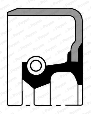 Shaft Seal, crankshaft (NJ215)