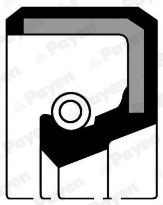 Shaft Seal, crankshaft (NF694)