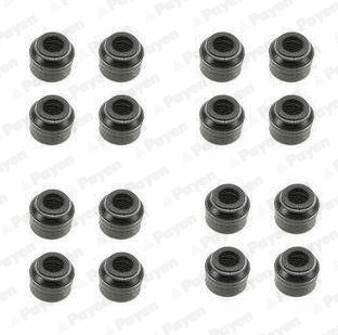 Seal Set, valve stem (HR5048)