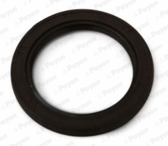 Shaft Seal, camshaft (NA5448)