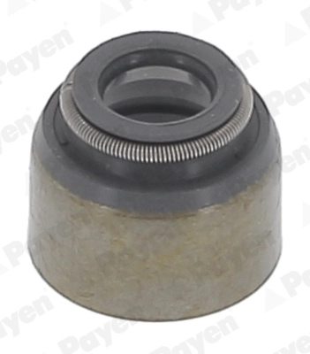 Seal Ring, valve stem