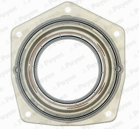 Shaft Seal, crankshaft (LK5000)