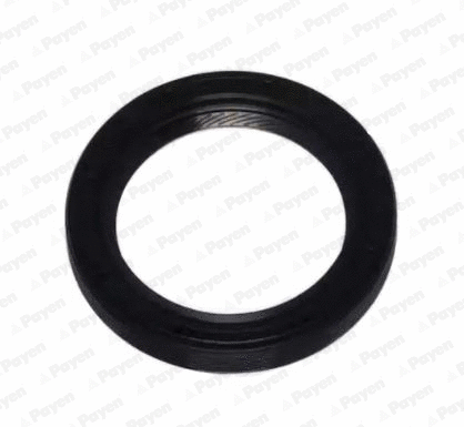 Shaft Seal, crankshaft (NA5306)