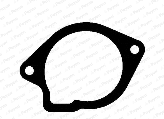 Gasket, water pump (KA5025)