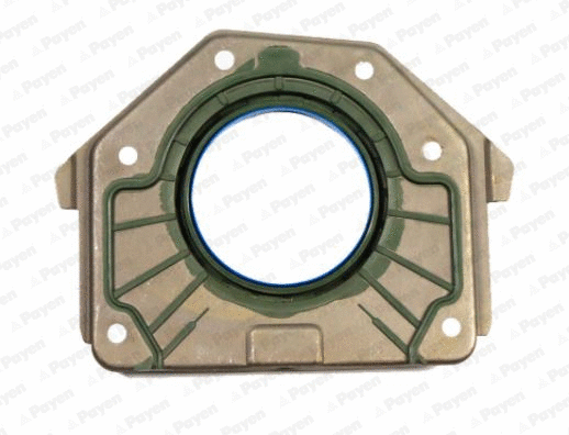 Shaft Seal, crankshaft (LK5001)