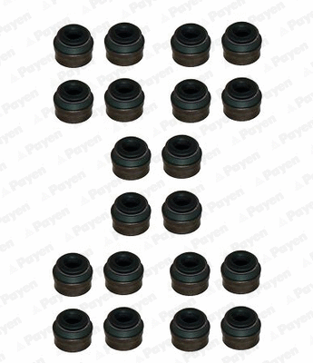 Seal Set, valve stem (HR822)