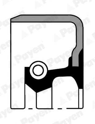 Shaft Seal, wheel hub (NK054)