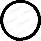 Seal Ring, cylinder head cover bolt (PB248)