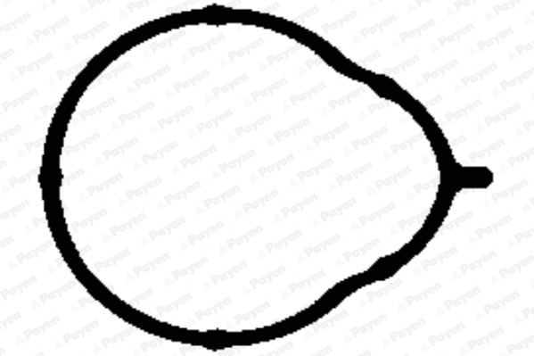 Gasket, intake manifold (JD5858)