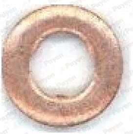 Heat Shield, injection system (KG5342)
