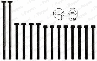 Cylinder Head Bolt Set (HBS010)